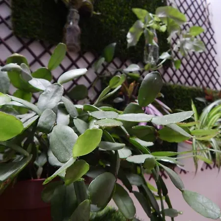 Twenty Seven Degrees Palmas 2*