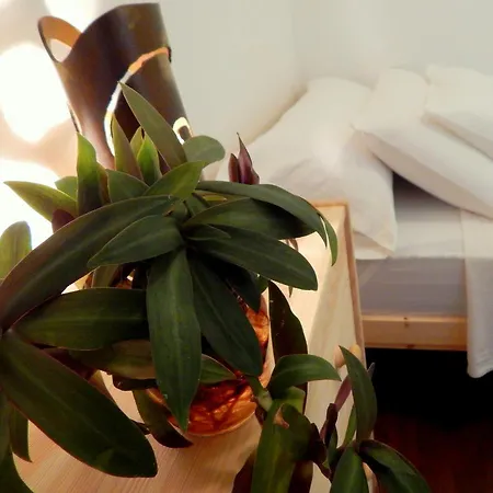 Twenty Seven Degrees Palmas Bed & Breakfast 2*